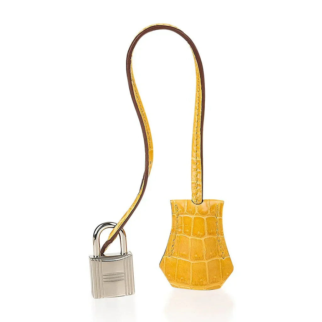 Birkin Touch 30 Bag Jaune Ambre Crocodile / Togo Limited Edition