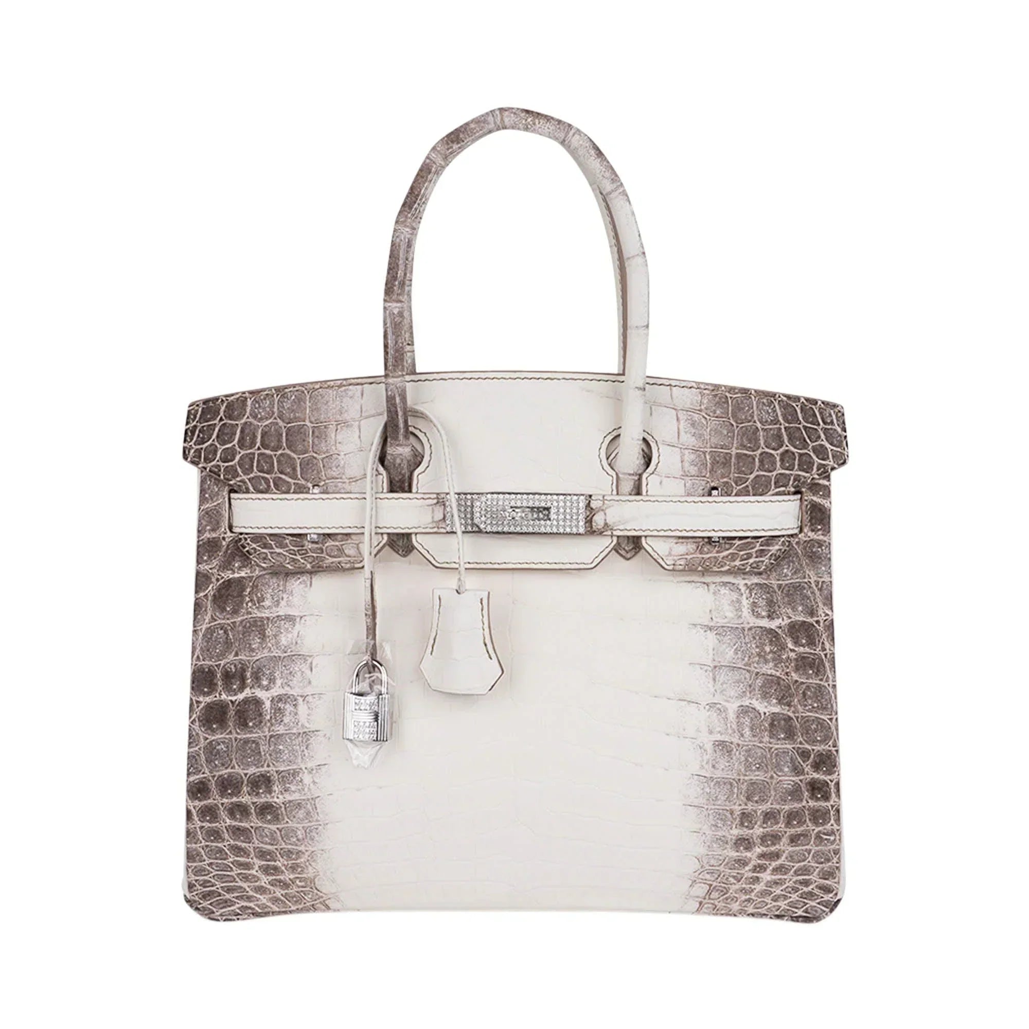 Birkin 30 Bag Diamond Himalaya Blanc Matte Niloticus Crocodile with 18k White Gold Hardware