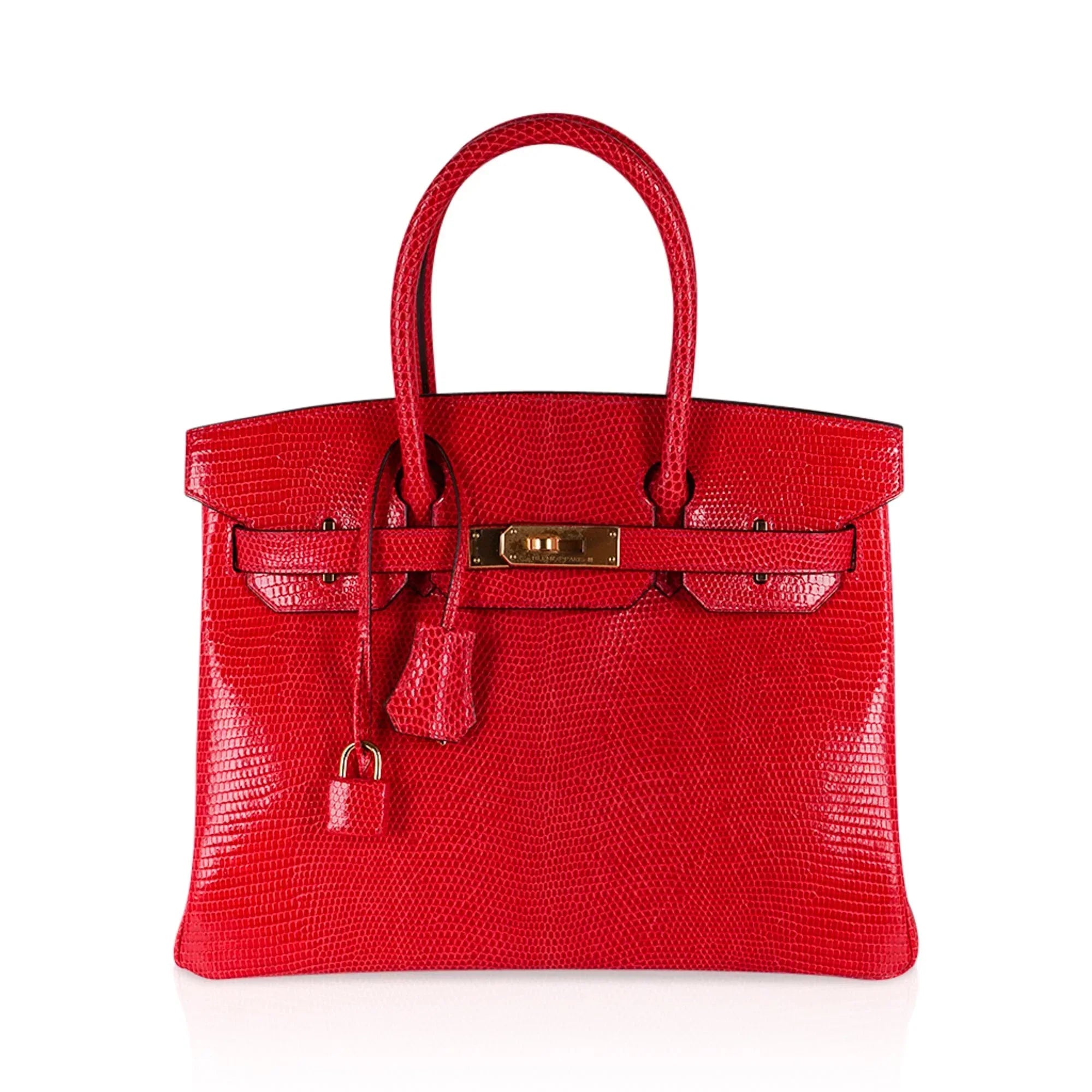 Birkin 30 Bag Rouge Exotique Lizard Limited Edition Gold Hardware Rare