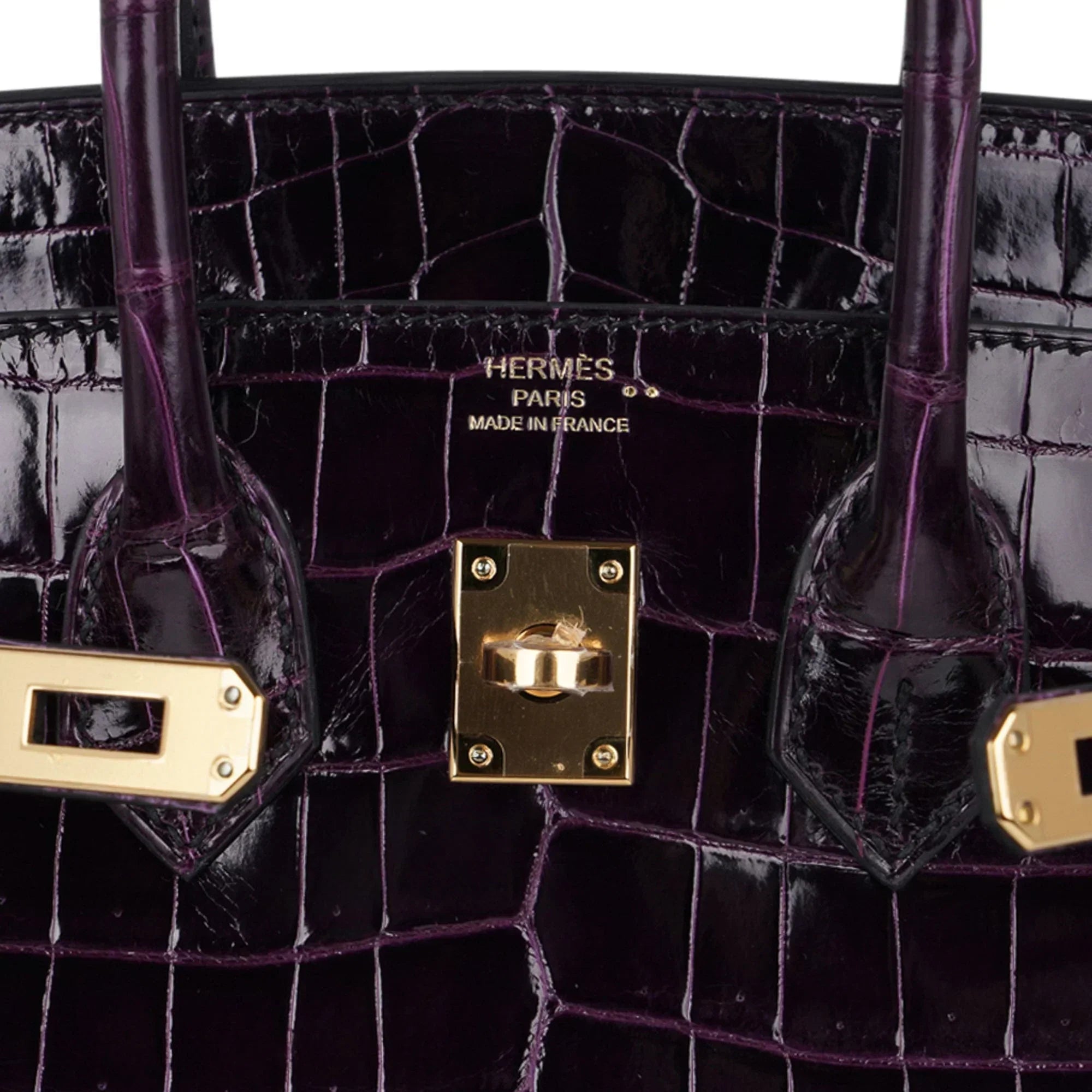 Birkin 25 Bag Aubergine Niloticus Crocodile with Gold Hardware