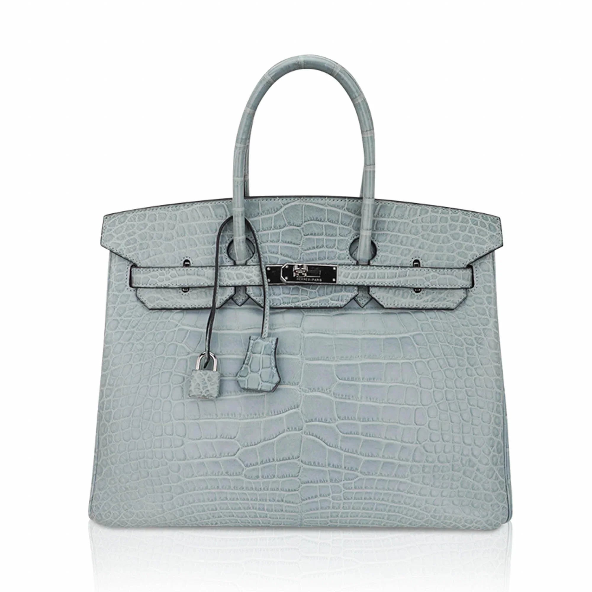 Limited Edition Birkin 35 Bag Ciel Matte Alligator with Palladium Hardware