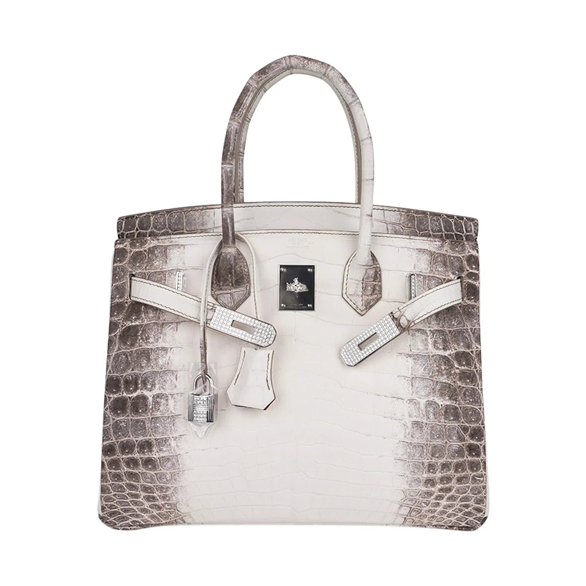 Birkin 30 Bag Diamond Himalaya Blanc Matte Niloticus Crocodile with 18k White Gold Hardware