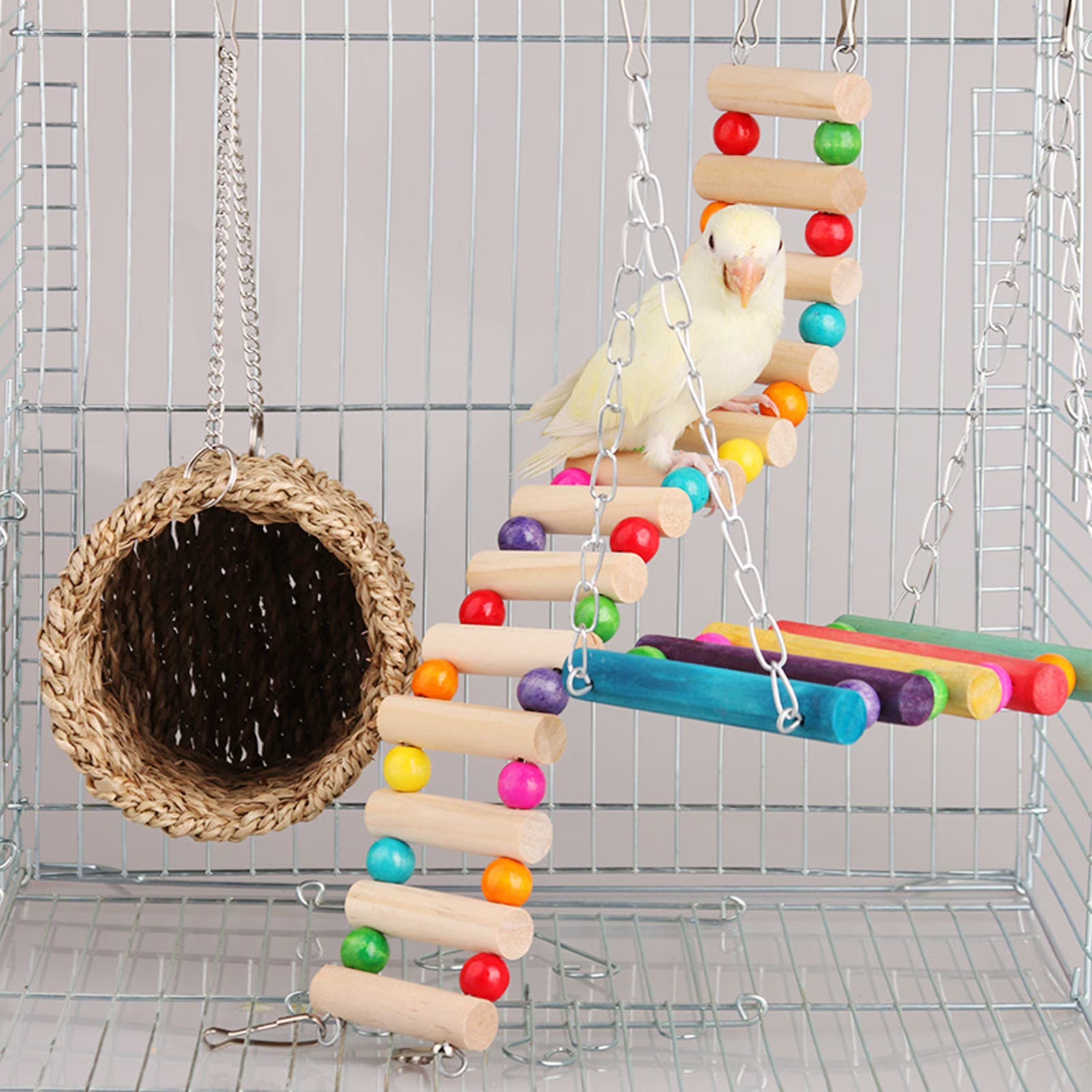 Bird Ladder